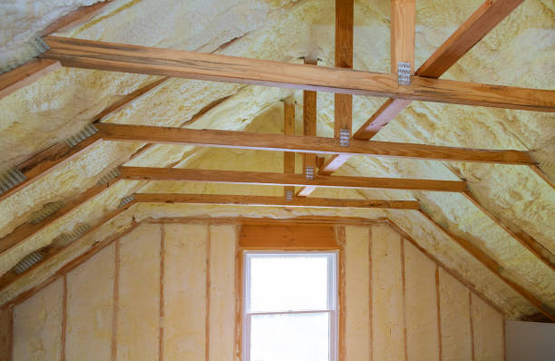 Best Blown-in Insulation  in Kyle, SD