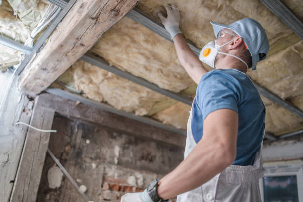 Best Soundproof Insulation Installation  in Kyle, SD