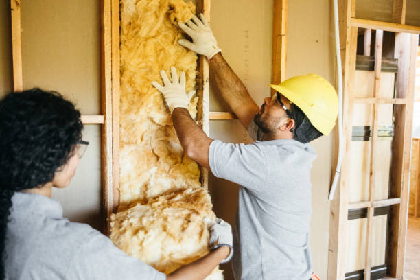 Best Insulation Replacement Services  in Kyle, SD