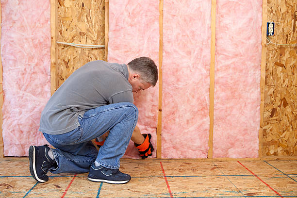 Best Attic Insulation Near Me  in Kyle, SD