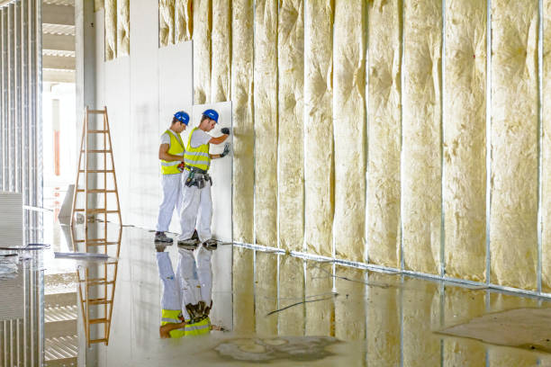 Best Spray Foam Insulation  in Kyle, SD